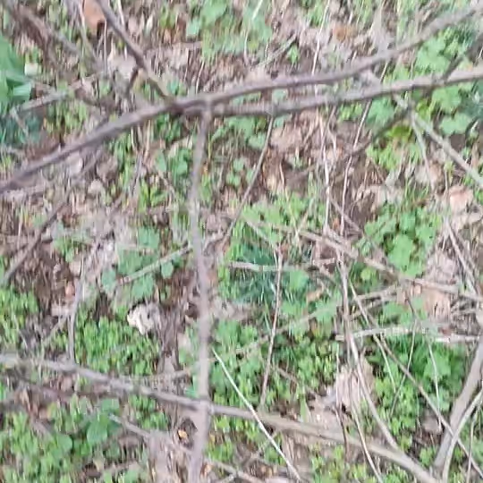 Видео отзыв